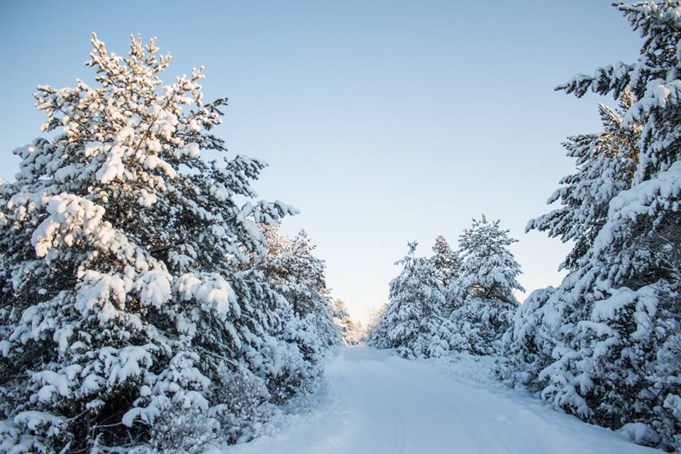 Lumine Saaremaa